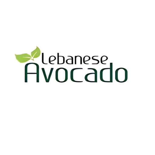 Lebanese Avocado